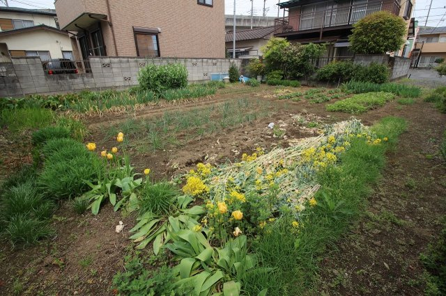 小山市西城南１丁目の外観