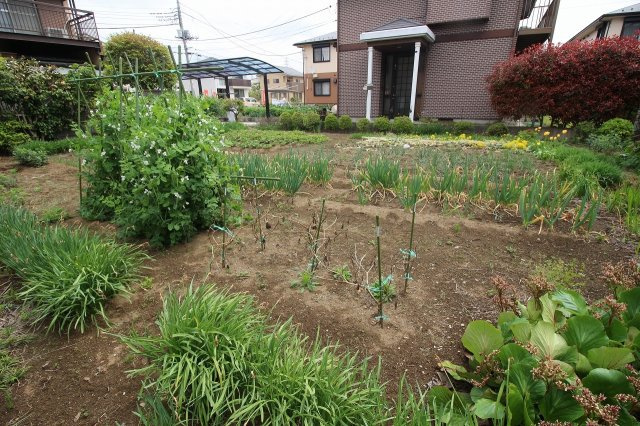 小山市西城南１丁目の外観