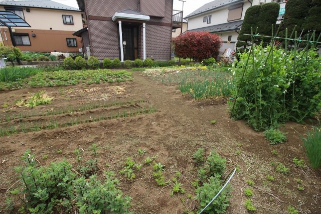 小山市西城南１丁目の外観