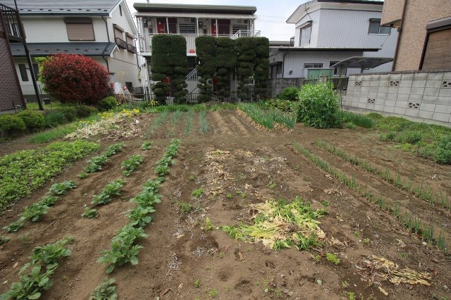 小山市西城南１丁目の外観