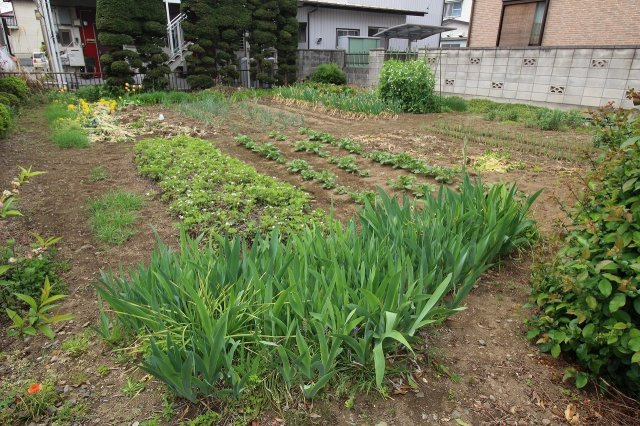 小山市西城南１丁目の外観