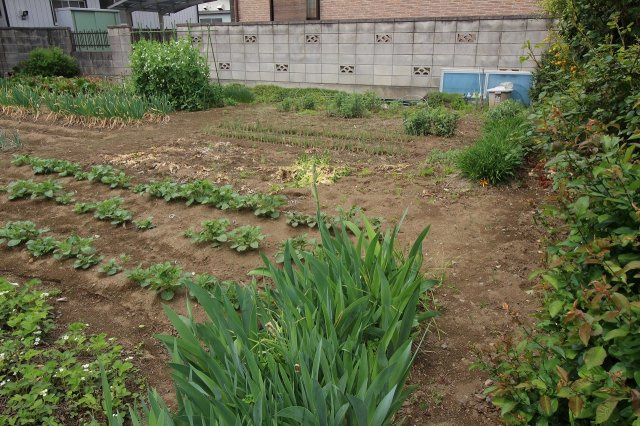 小山市西城南１丁目の外観