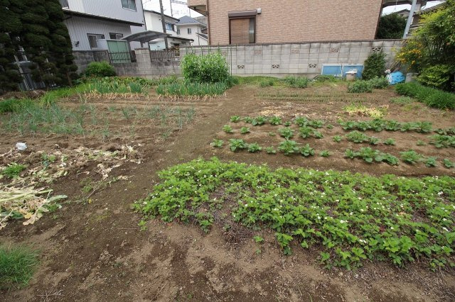 小山市西城南１丁目の外観
