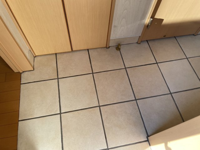 ベルパーチⅢの玄関