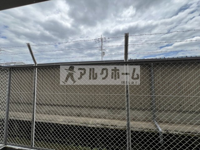 エストレノの展望|エストレノ