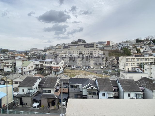 パラツィーナ玉手の展望