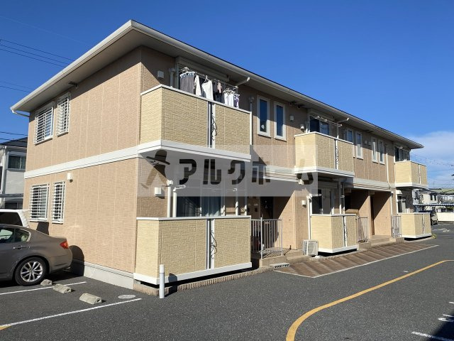 コマツローズスクエアカサオリーブ