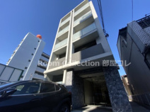 Ｃｏｕｒｔ　ＭＡＲＩＡＧＥの画像