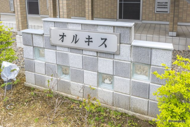 オルキスの外観