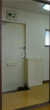 【玄関】 | 高島平ハイツ