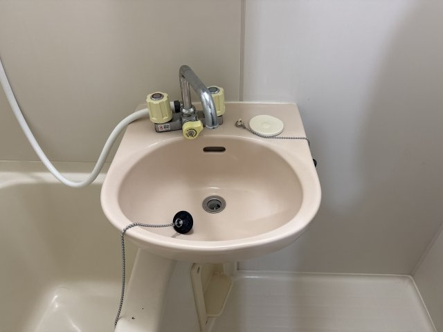 エステートピアセルベーユⅡの洗面所