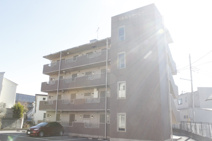 リトルジャーニーの画像