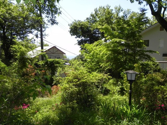 【外観】 | 大室高原別荘地　古家付土地