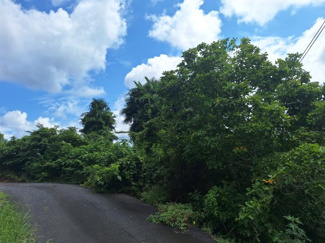 【外観】 | 鳥取市桜谷　畑