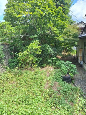 【外観】 | 鳥取市桜谷　畑