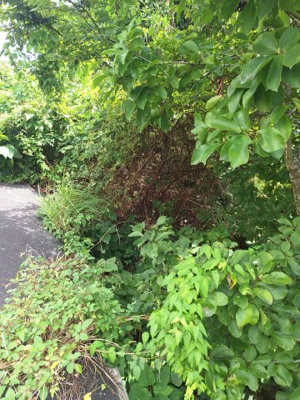 【外観】 | 鳥取市桜谷　畑