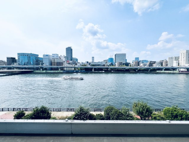 東京アインスリバーサイドタワーの展望