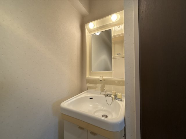 コーポラス神子岡の洗面所