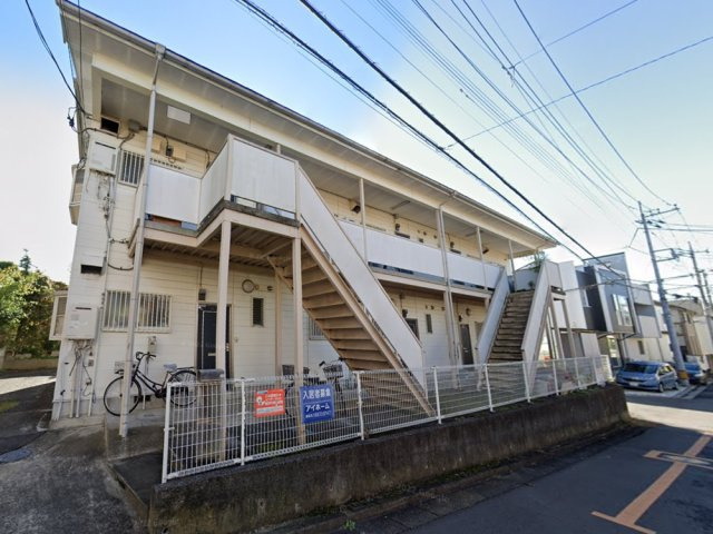 細野シーベルの画像