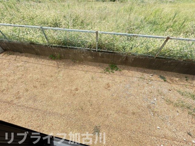 【庭】 | 野口町戸建て