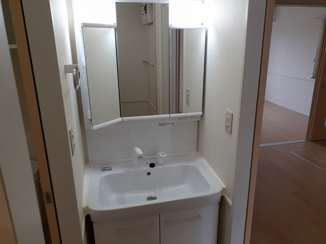 メゾンラルジュBの洗面所