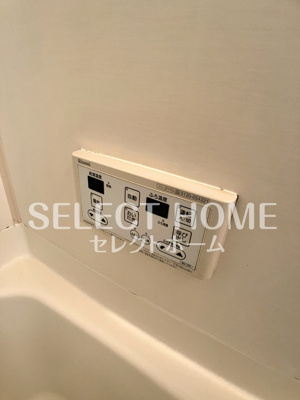  | SurplusグレイスⅢ