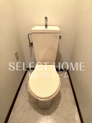  | SurplusグレイスⅢ