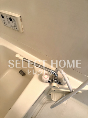  | SurplusグレイスⅢ