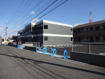 カンパニュールの画像