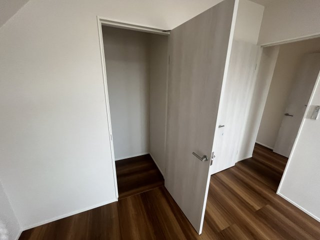 グランソフィア岩槻区城南の収納|収納があります