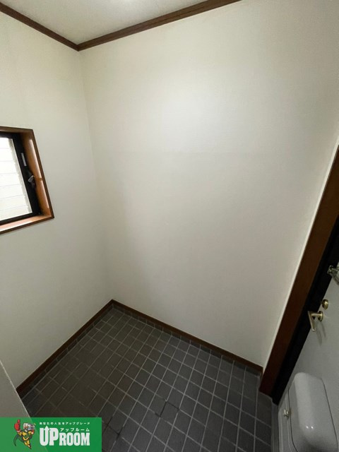 アムール1995のその他