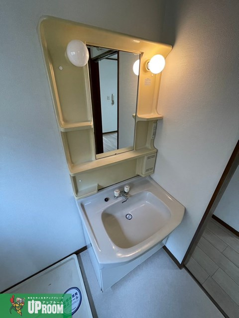 アムール1995の洗面所