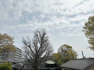【その他】 | アイル三軒茶屋