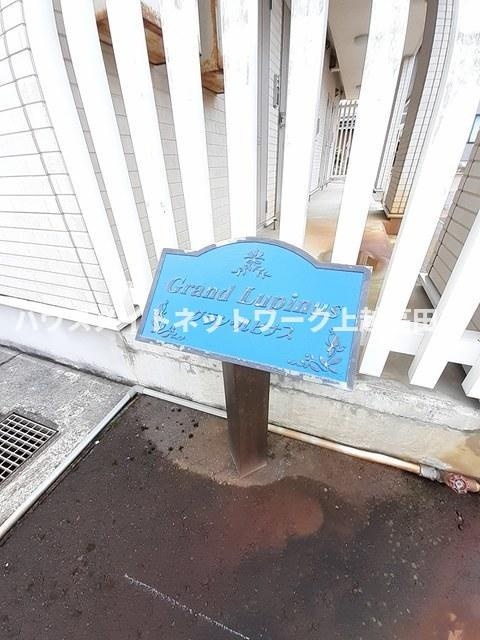 グラン・ルピナスのその他|その他