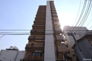 PULCHRA IMAIKEの画像