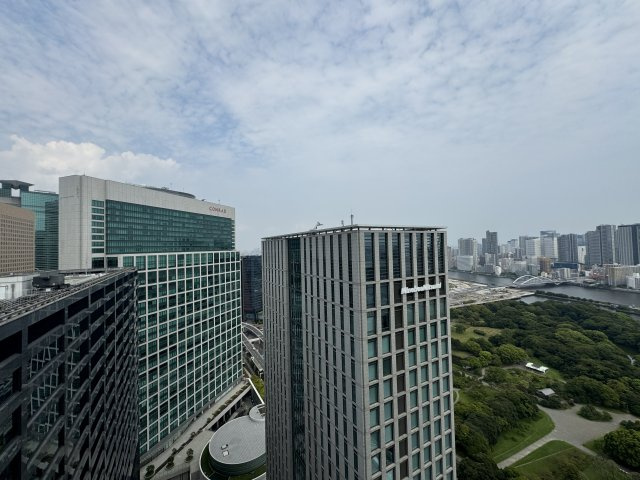 東京ツインパークスレフトウィングの展望