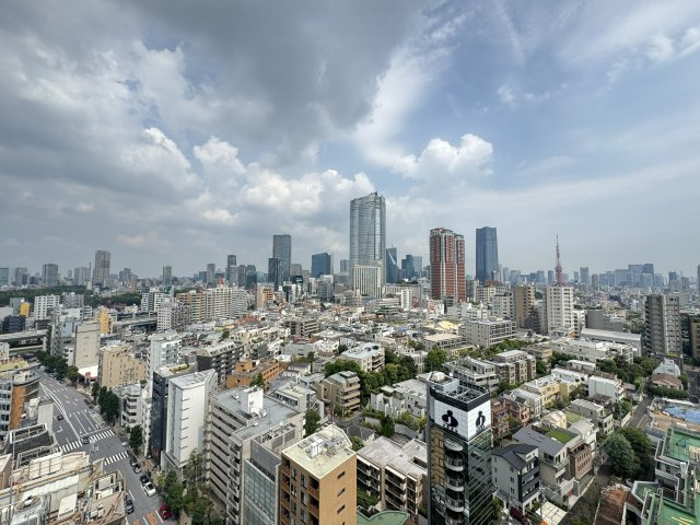 ザ・パークハウス西麻布レジデンスの展望|東京タワーを望む開放的な眺望