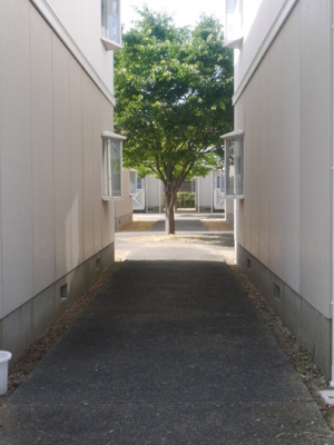 【その他共用部分】 | フレグランス南町 F棟