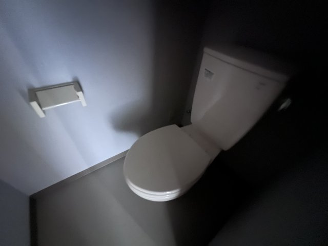ロイヤルコーポ吉田のトイレ