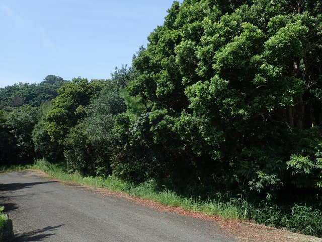 白浜台土地の外観