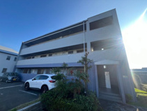 ヴェルドミールステラの画像