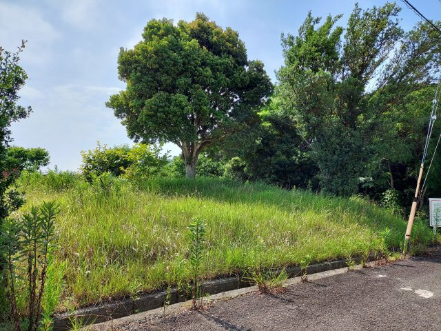 白浜台売地の外観