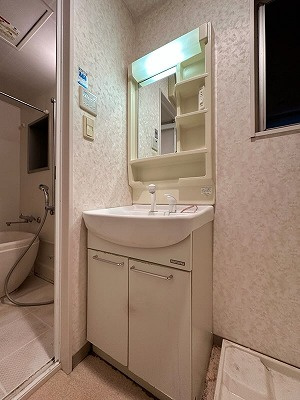 ジューム南船場の洗面所