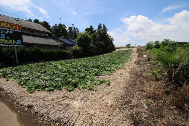 小山市飯塚