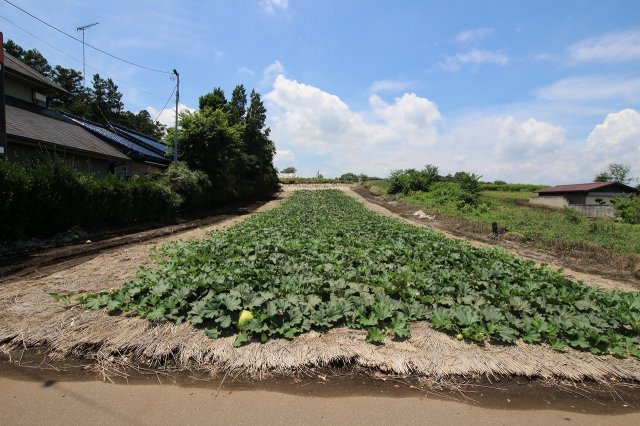小山市飯塚の外観