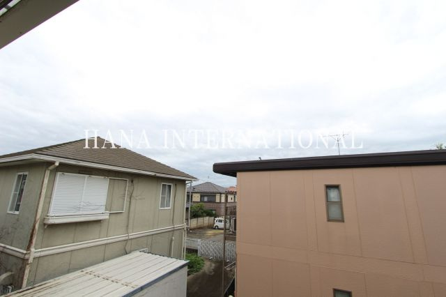 エステルの展望