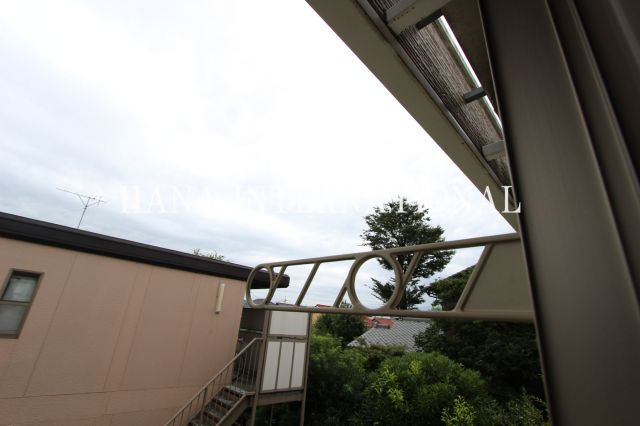 エステルのその他