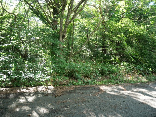羽鳥湖平和郷別荘地②の外観