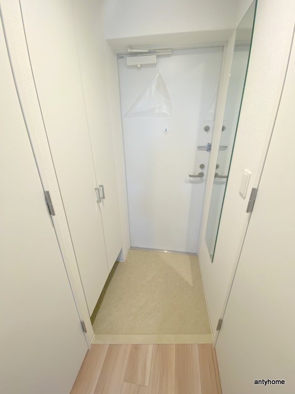 セレニテ新大阪ミラク弐番館　仲介手数料無料の玄関