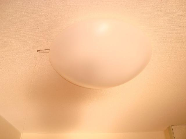 サニーヒルズの内装|室内照明器具